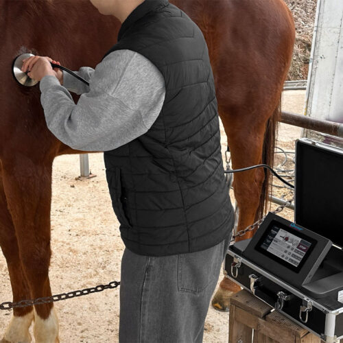 Qwave Piezon Vet  Pressure Wave