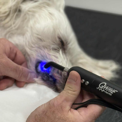 Qwave PBM Vet Pro - Led Torch 2 Qwave PBM Vet Pro - Led Torch