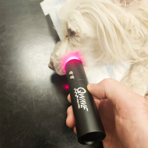 Qwave PBM Vet Pro  Led Torch