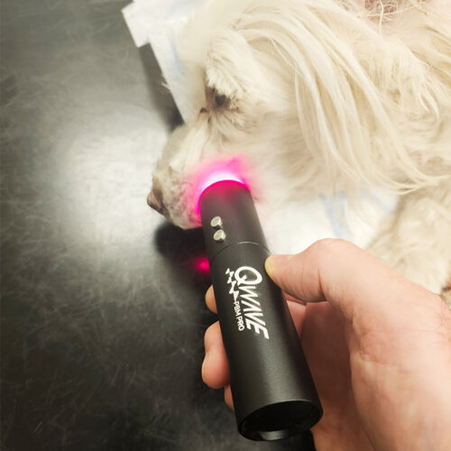Qwave PBM Vet Pro - Led Torch Qwave PBM Vet Pro - Led Torch