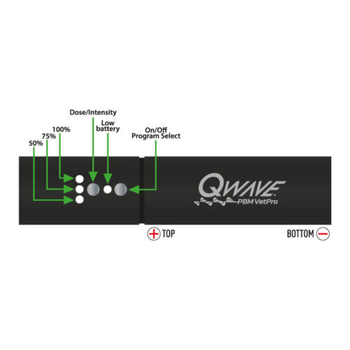 QWave PBM Vet PRO LED torch med blått, rødt og infrarødt lys
